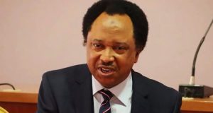 Listen To Southern Kaduna On Killings, Shehu Sani Tells Buhari