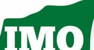 Imo: A Naming Ceremony That Never Held
