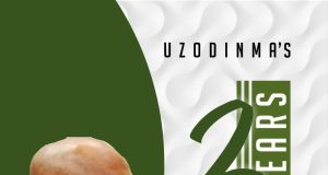 Imo: Uzodinma Two Years Of Plunging Imo Into Debt Slavery
